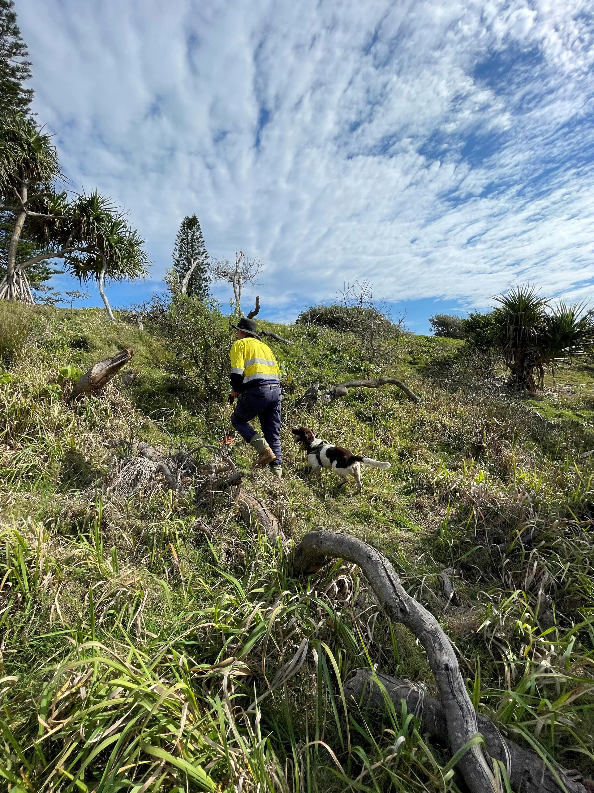 Handler Tom Garrett and conservation dog Cooper out on the job. 