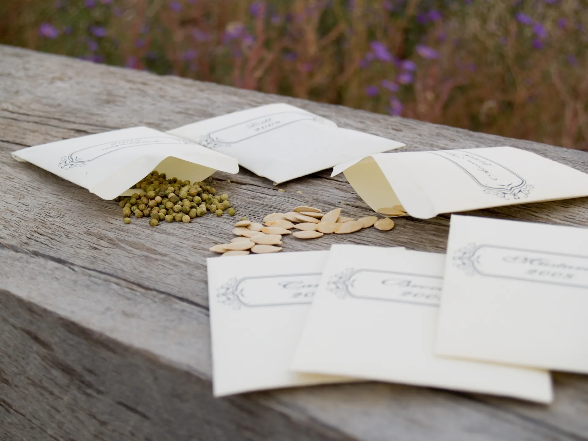 seed packets