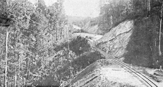 1907%20Postcard%20from%20the%20North%20Coast%20railway%20line.jpg