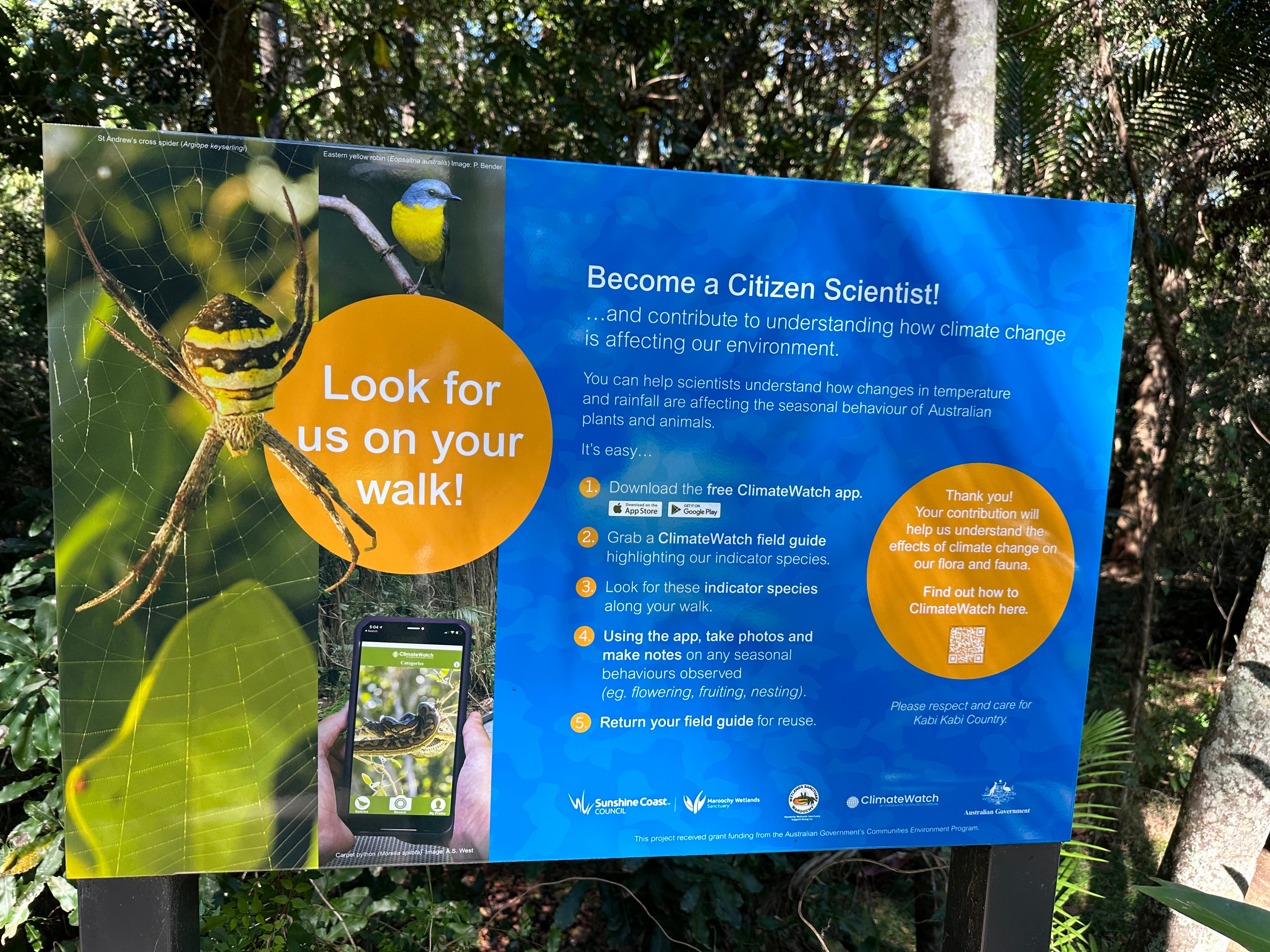 Maroochy%20Wetlands%20Sanctuary%20%285%29.JPG