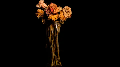 Last chance for arts funding