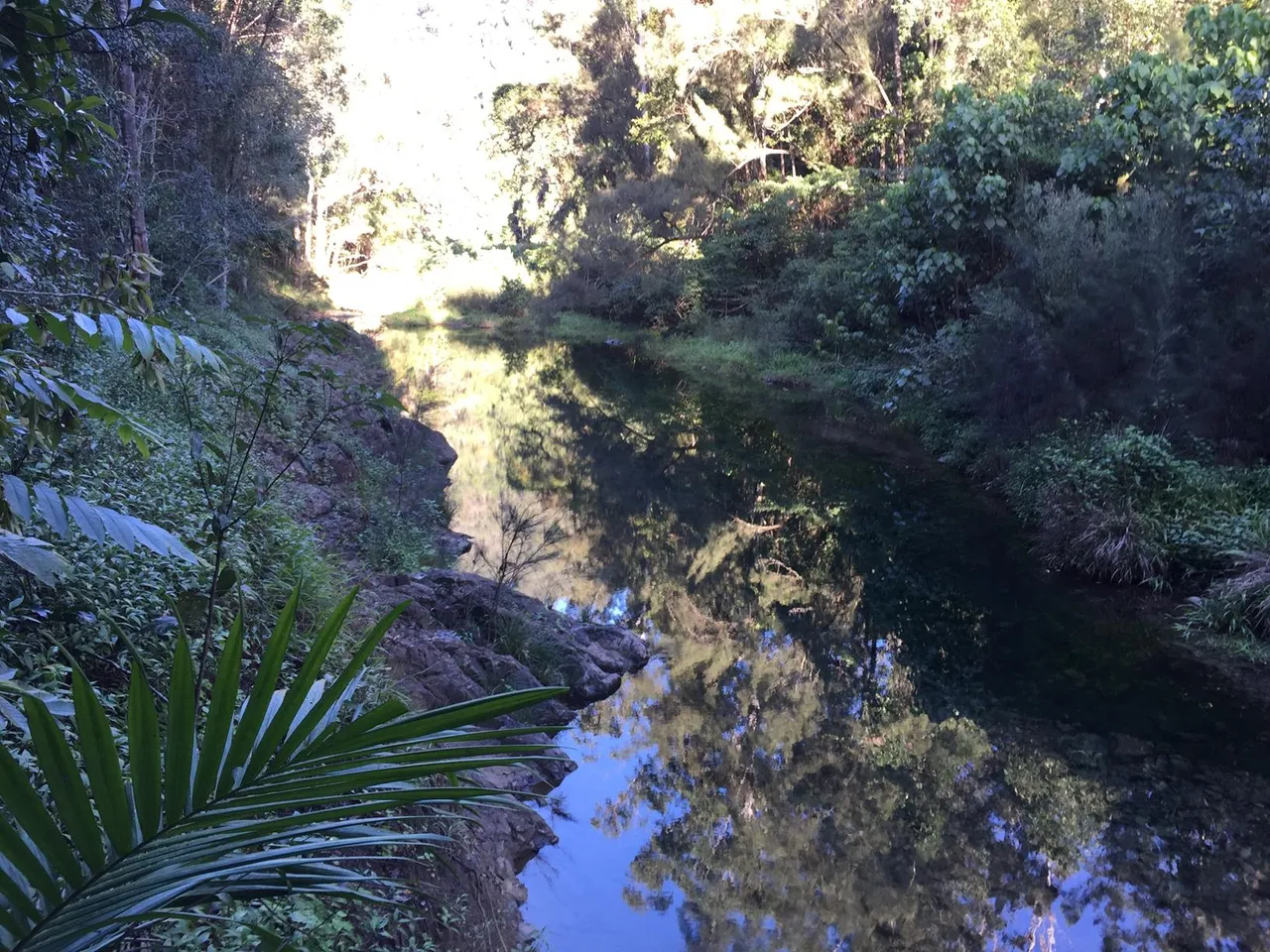 42833_Conondale%20Ranges%20NP%20Booloumba%20Gold%20Mine%20walk%20IMG_3293.jpg