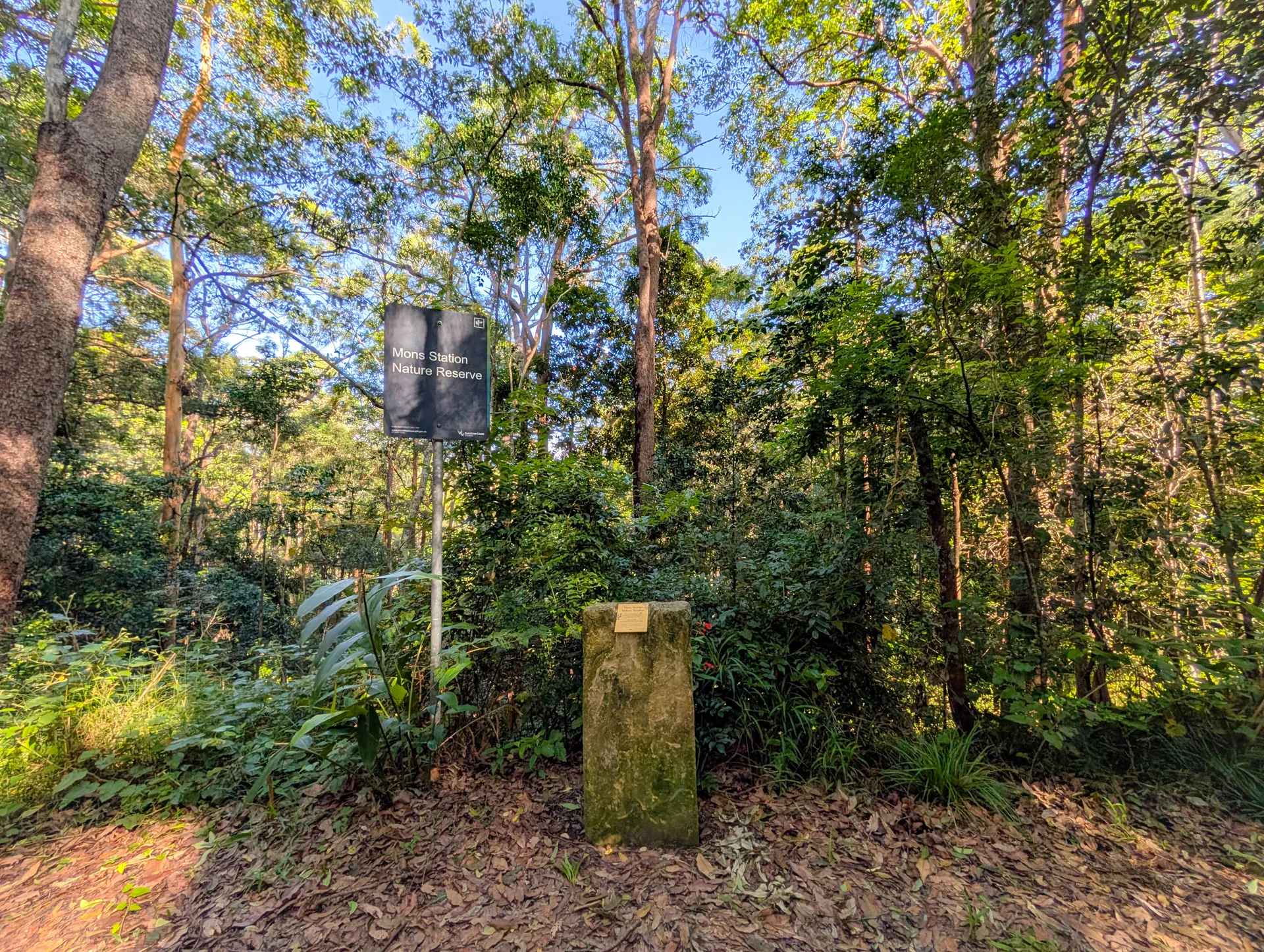 Buderim Tramway Trail