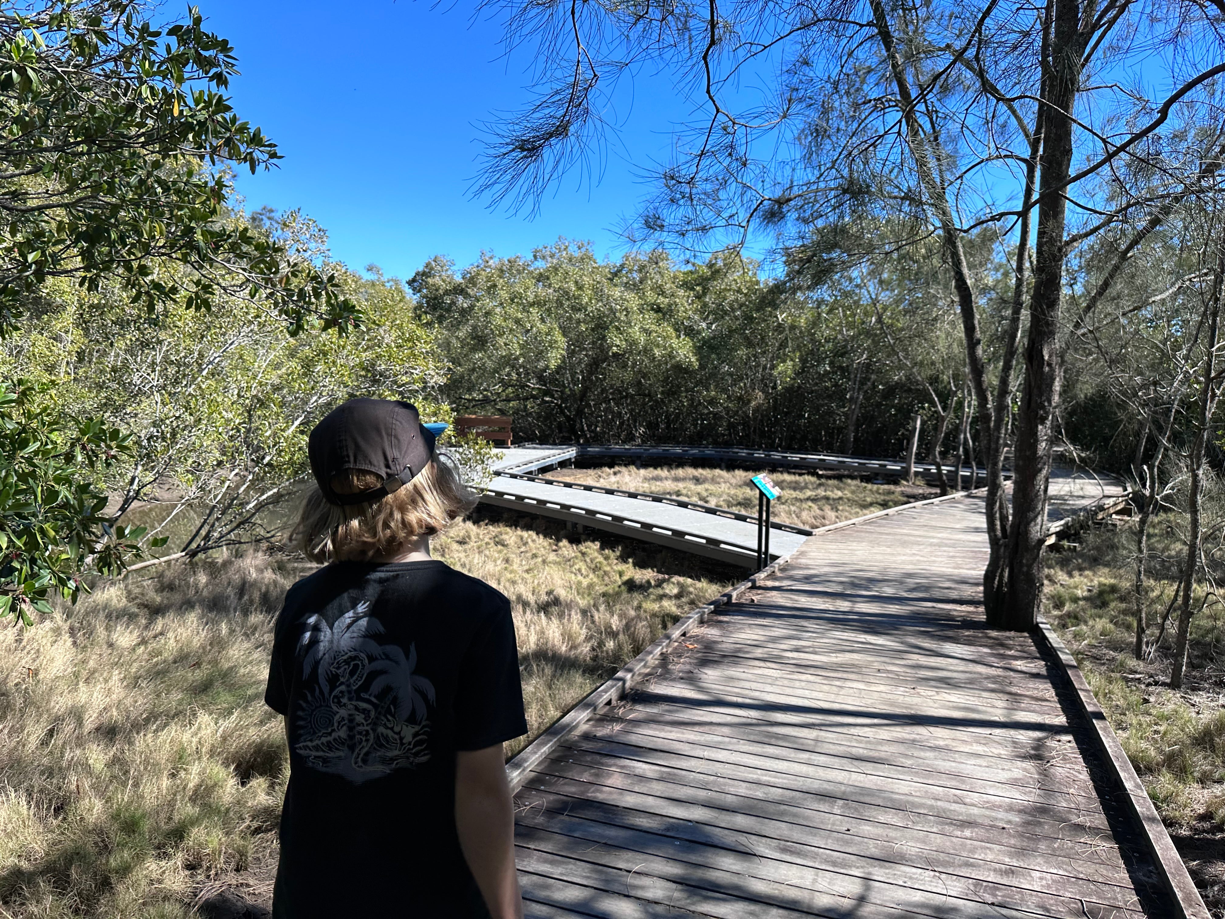 Maroochy%20Wetlands%20Sanctuary%20%2815%29.JPG