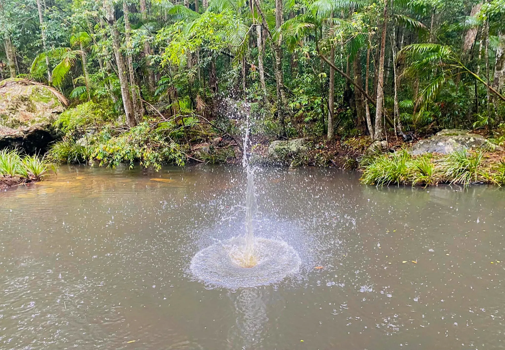 Mapleton National Park – Gheerulla Full Loop Hike