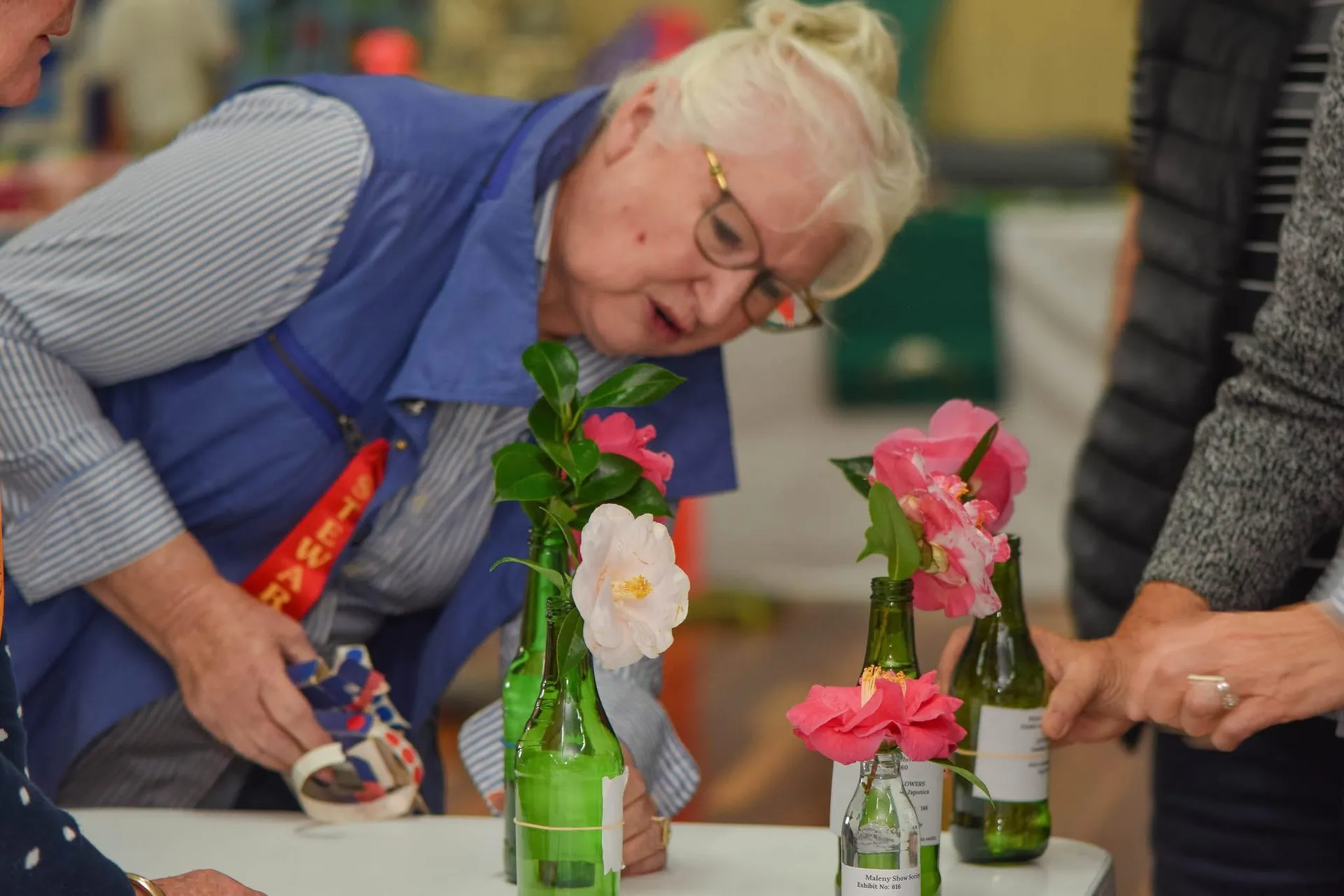 A lady (a show steward) peering over flowers to judge them - white and pink colour flowers are in thre or four green bottles on the table