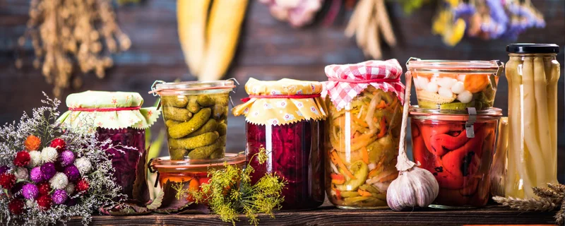 Fermenting foods