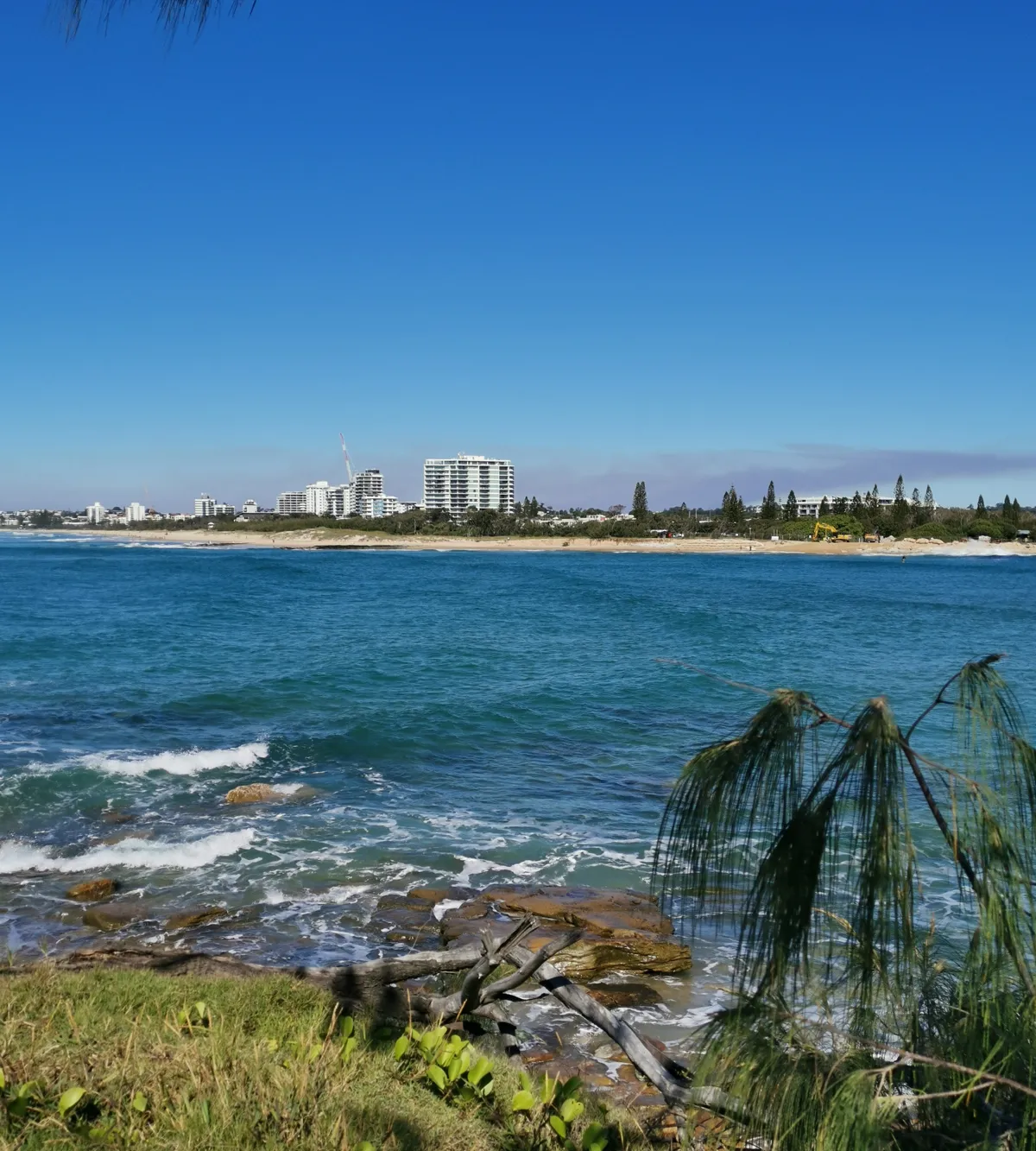 Pincushion Island Beach Walk