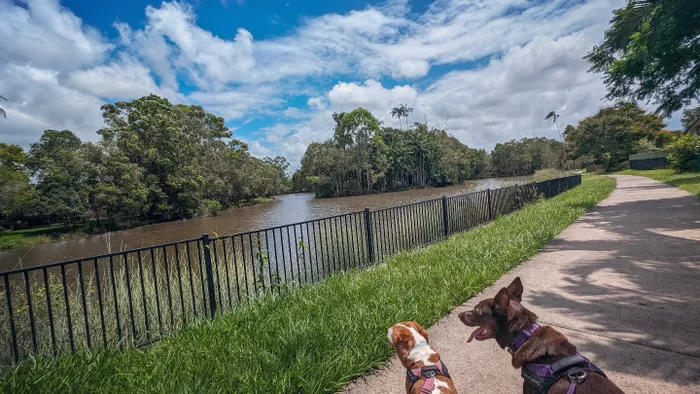 Adventure: North Buderim Lake Circuit (2km)