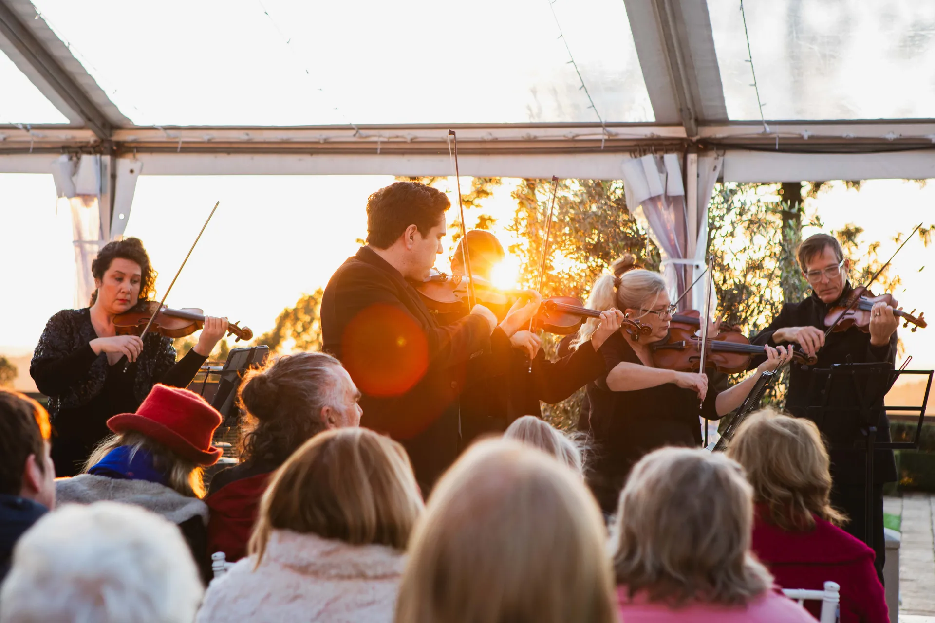 Four people playing violins, to a seated crowd (back of heads in this image).