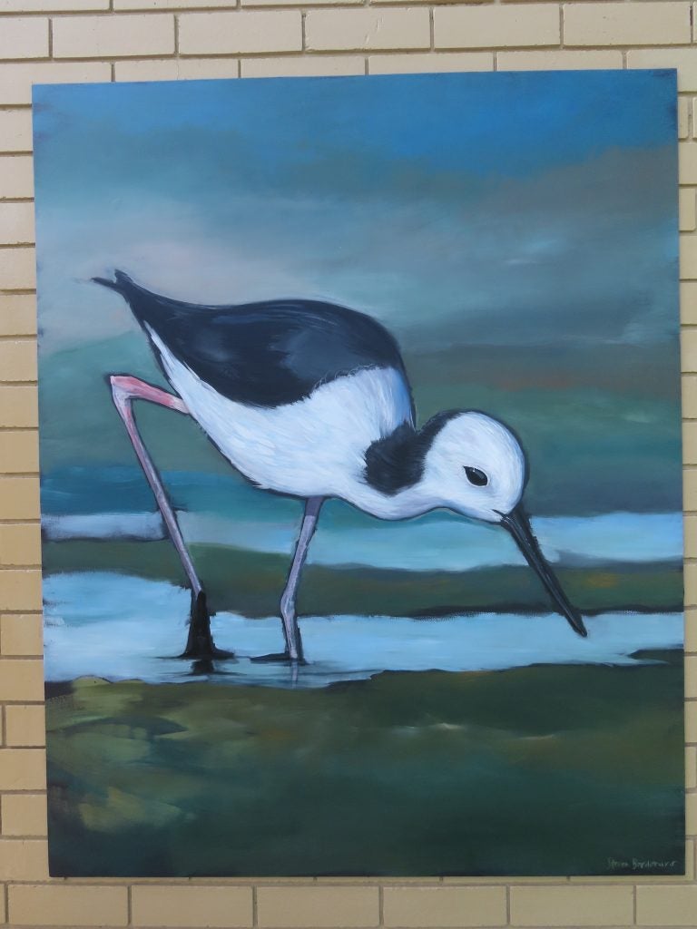 
Bells Creek Mural Pied Stint