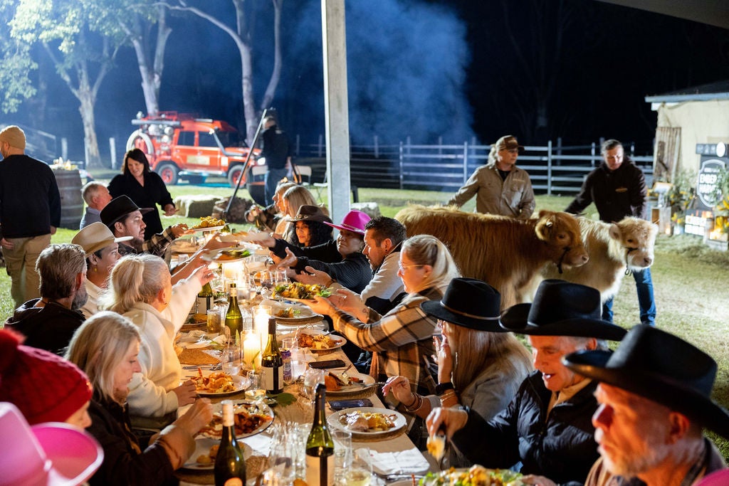 People seated at a table, with two small cows and their handlers in the background
