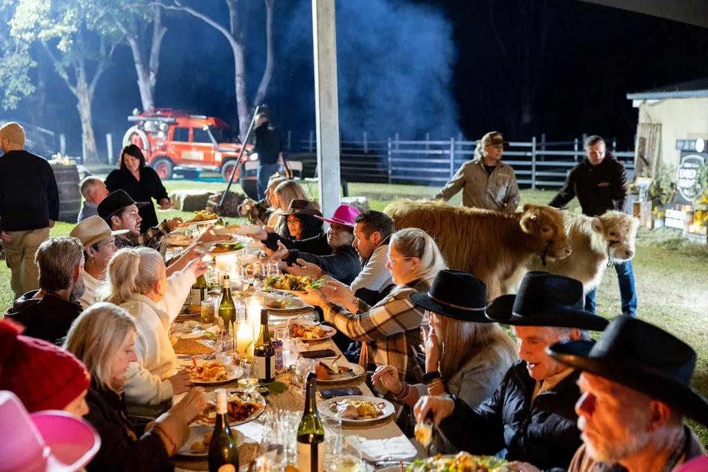 People seated at a table, with two small cows and their handlers in the background