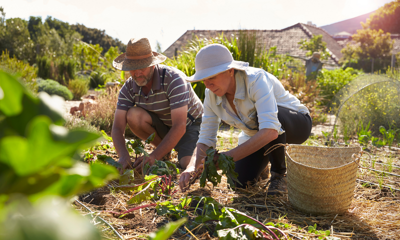 Sunshine-Coast-get-involved-with-a-community-garden.png