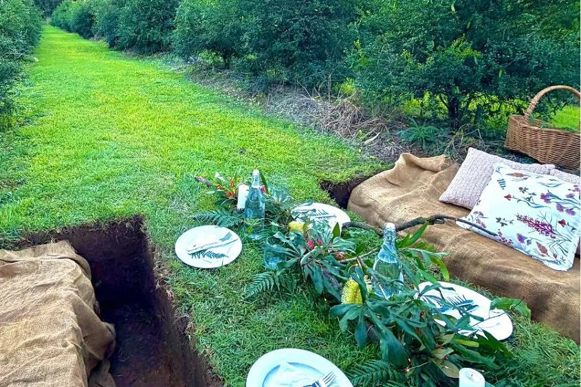 A picnic setting along an orchard green space / aisle