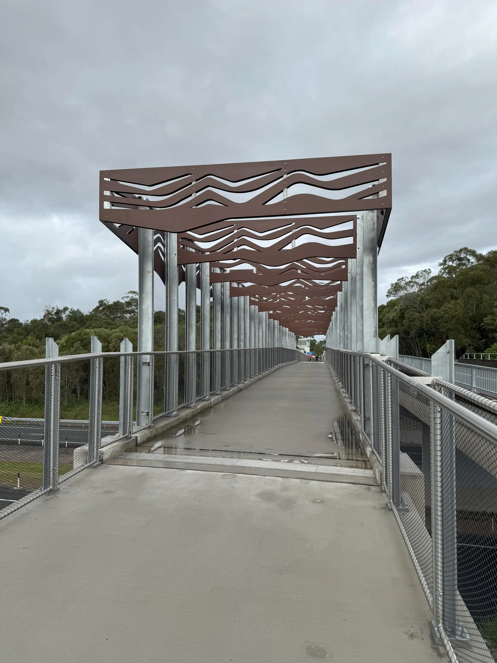Bridge along Stringybark Road, Sippy Downs.
