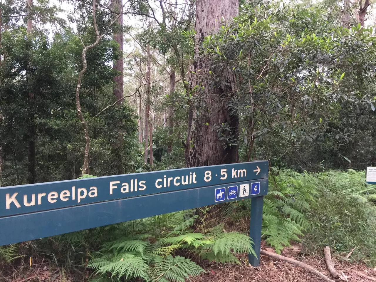 31231_Mapelton%20National%20Park%20Kureelpa%20Falls%20Track%20IMG_3129.jpg