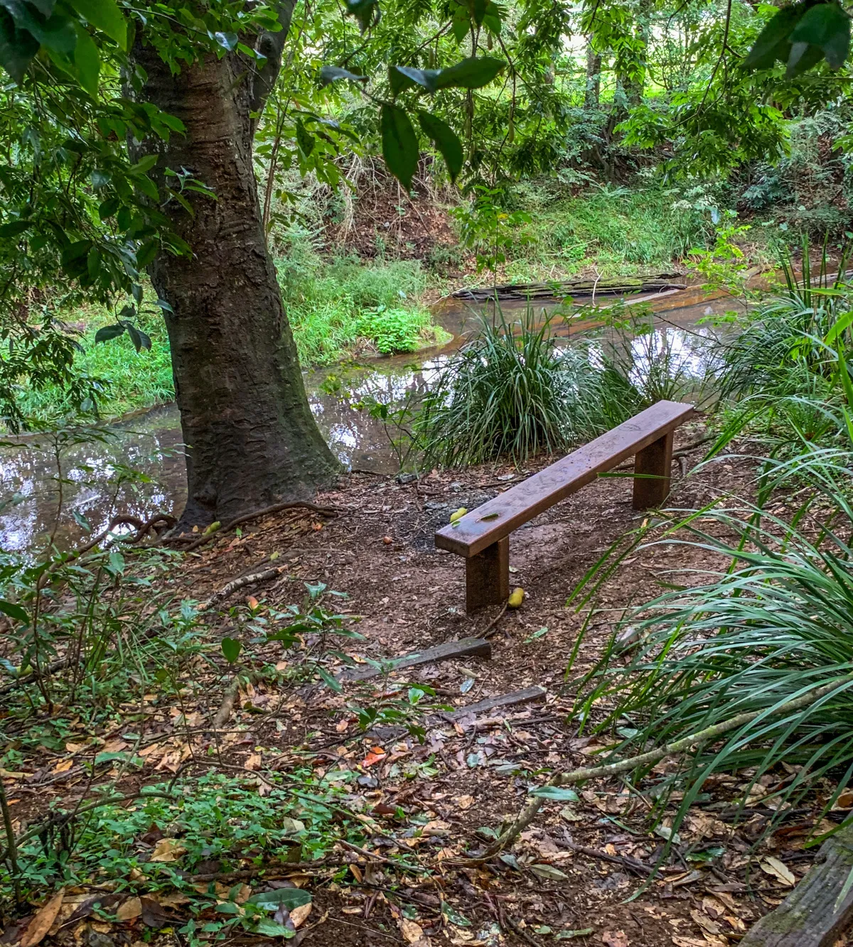 22820_Creek%20seating_edited%20-%20Copy.jpg