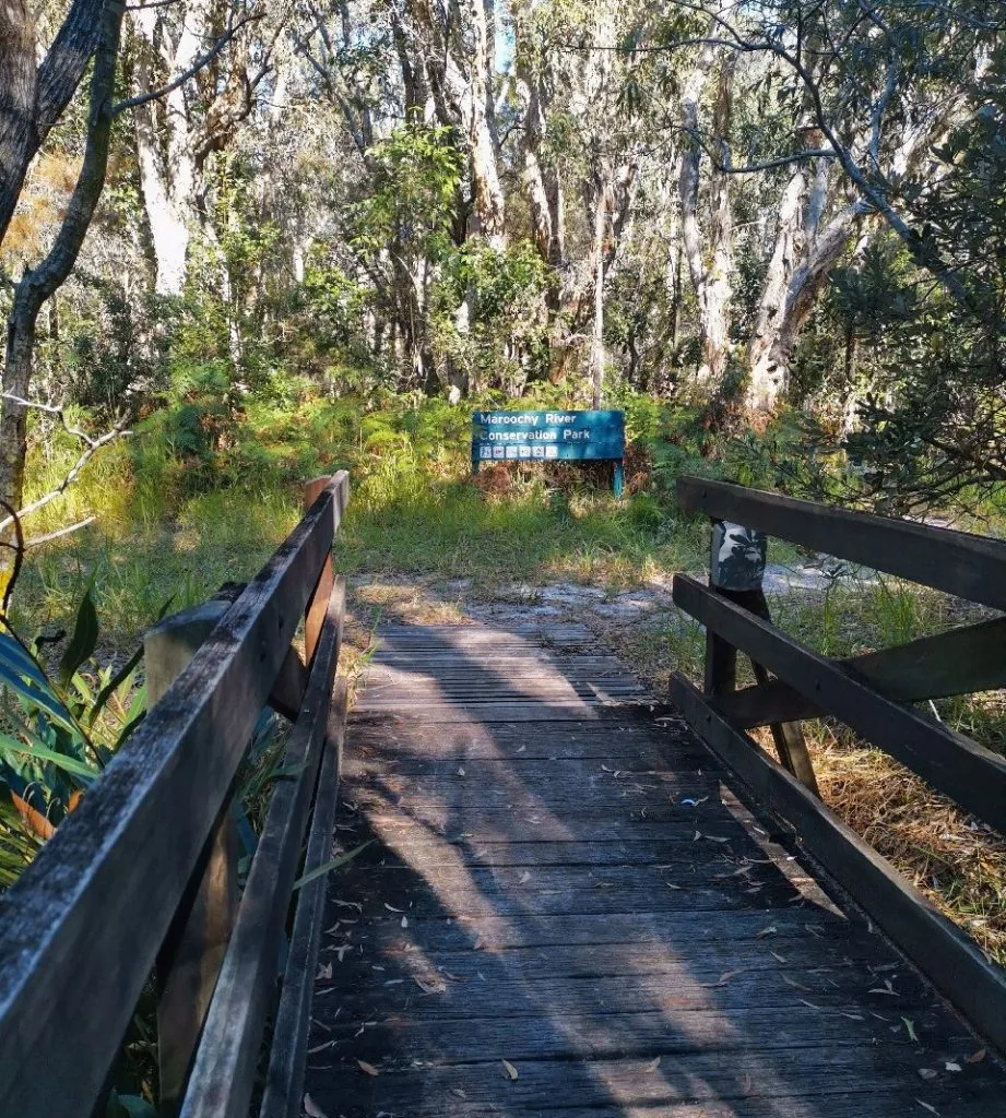 62150_Maroochy-River-Conservation-Park_edited2-921x1024.jpg