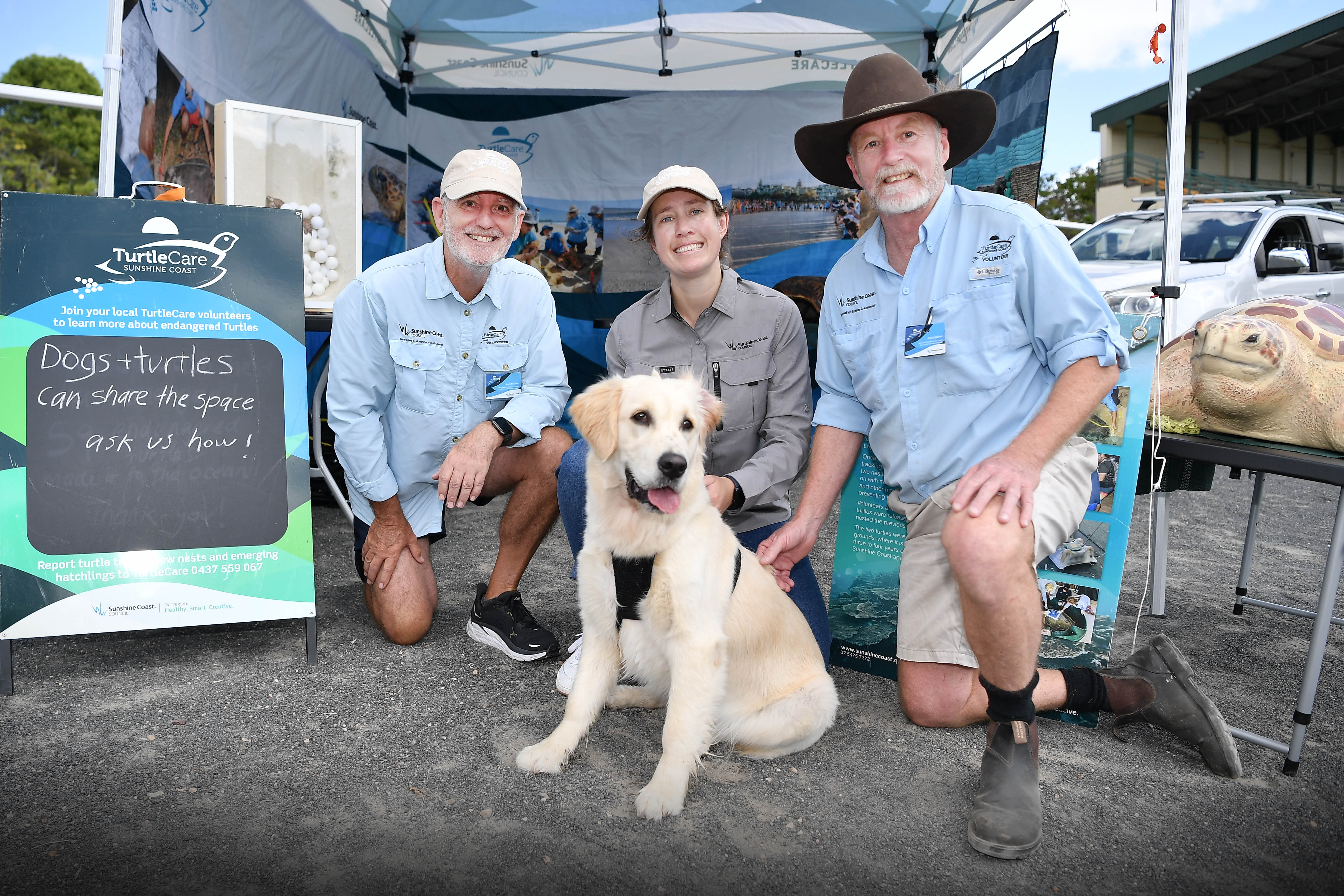 Turtles and dogs can share our local environment
