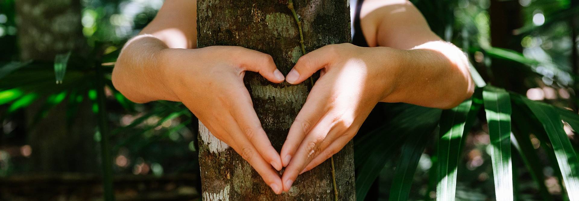 Kabi Kabi / Gubbi Gubbi Country