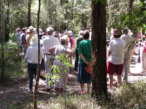 Maroochy Regional Bushland Botanic Garden - Walks and events | Sunshine ...