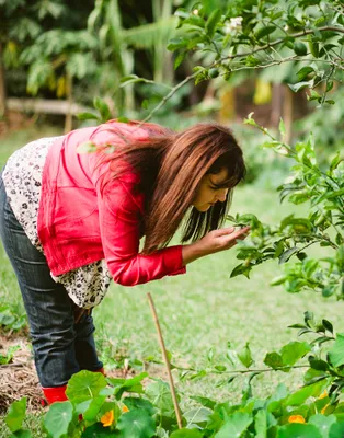 Anne diagnosing problem on citrus tree garden consultation
