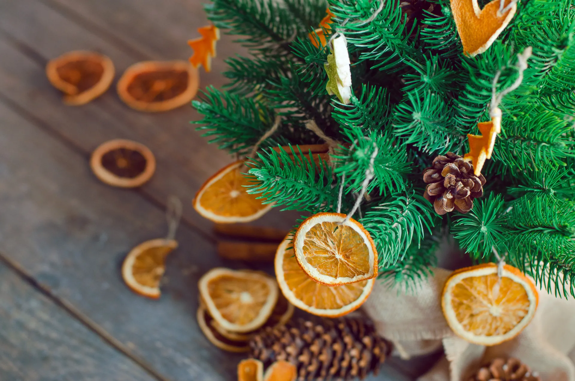 Citrus as a Christmas tree decoration