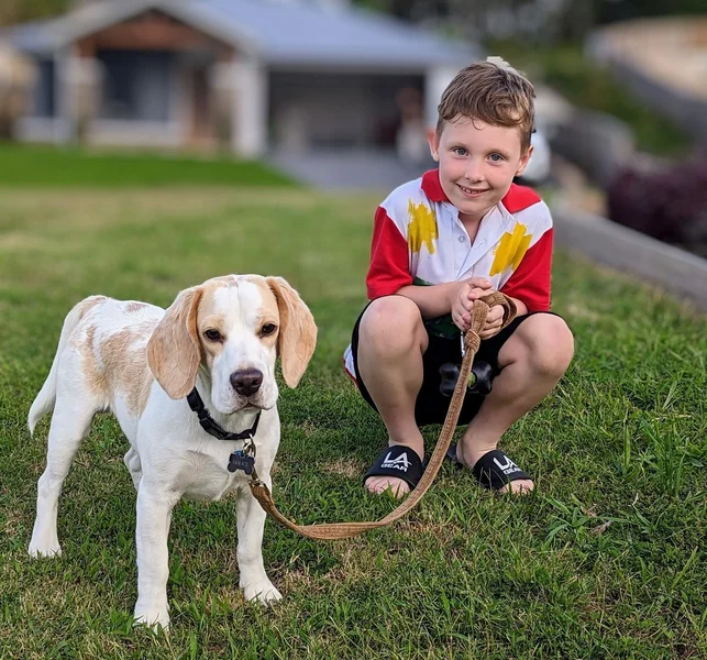 Rory-being-a-responsible-pet-owner-with-eight-month-old-beagle-puppy-Bruce-.jpg