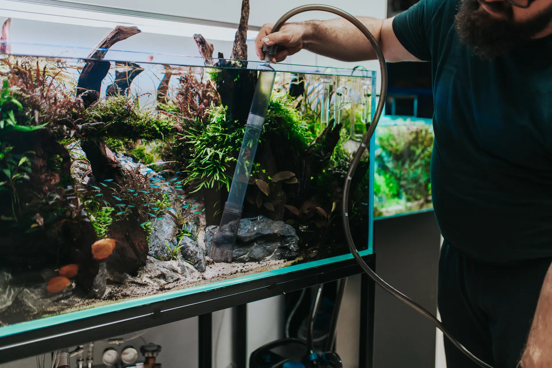 someone changing the water in a fish tank