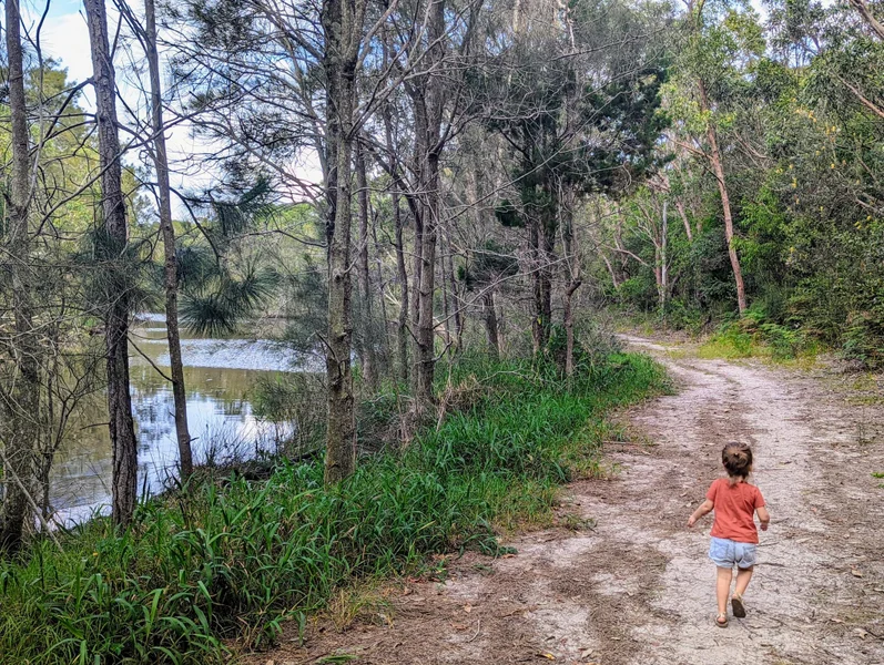 Stumers Creek to Magenta Drive Park, Coolum