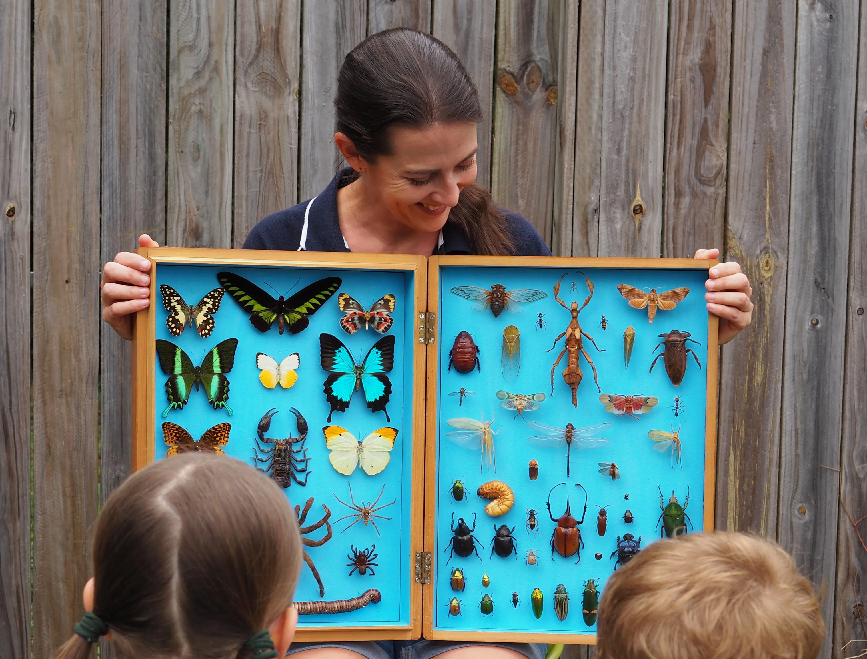 Michelle from BugsEd holding a pinned bug display