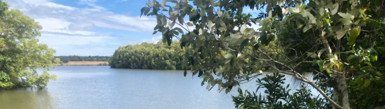 Coolum Creek Environmental Reserve River, Maroochy River