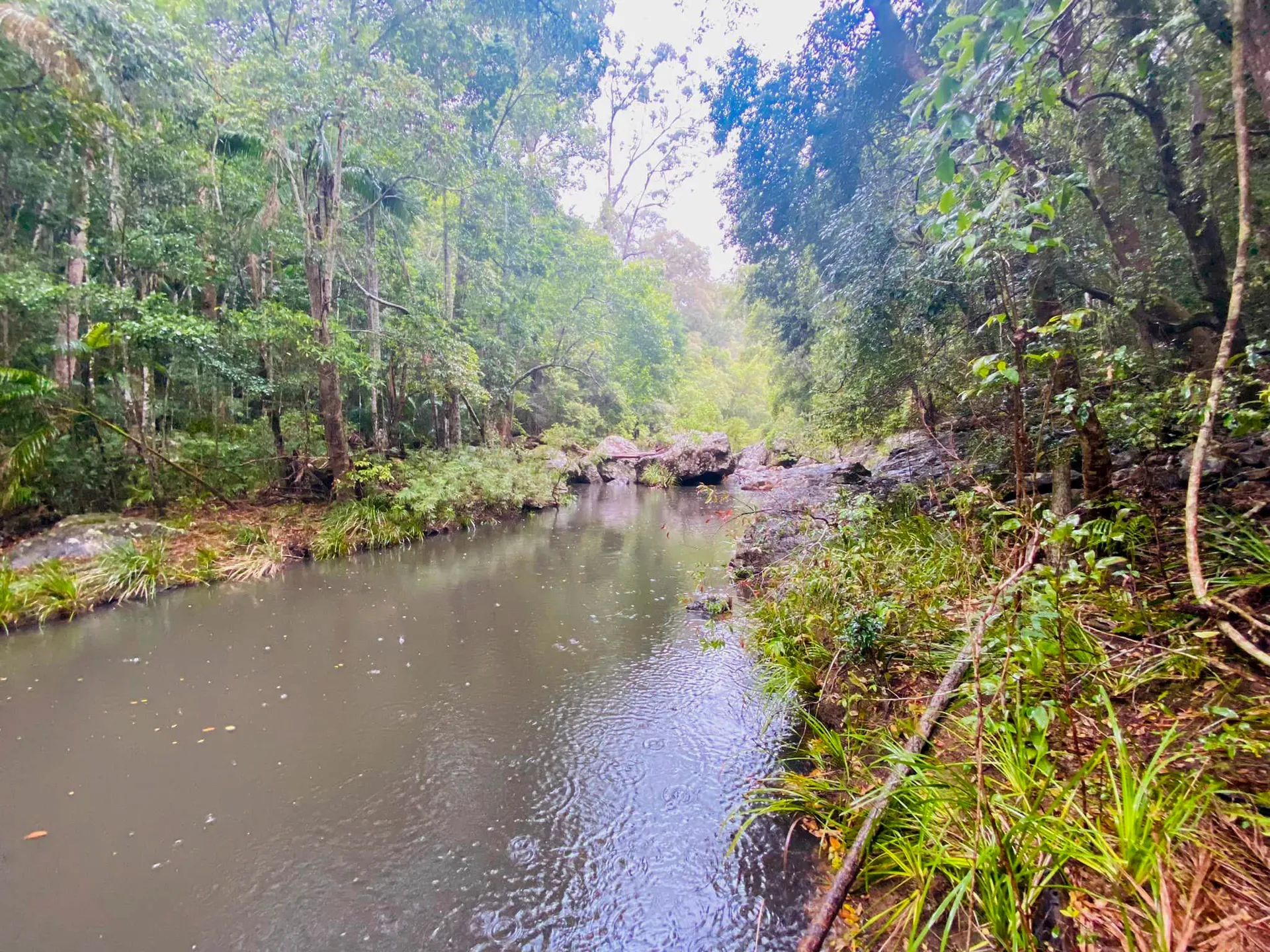 Mapleton National Park – Gheerulla Full Loop Hike