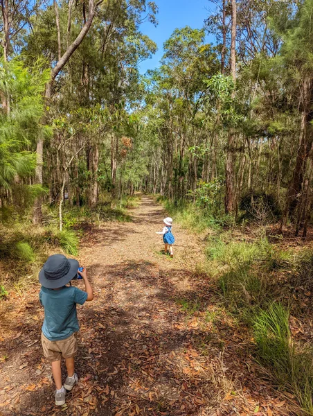 Jill Chamberlain Nature Reserve 