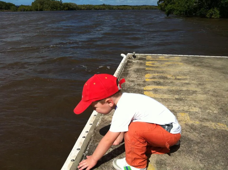 Young boy on the jetty at the end of the boardwalk, Maroochy Wetlands