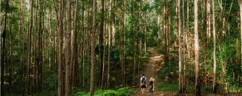 Bushland Walks