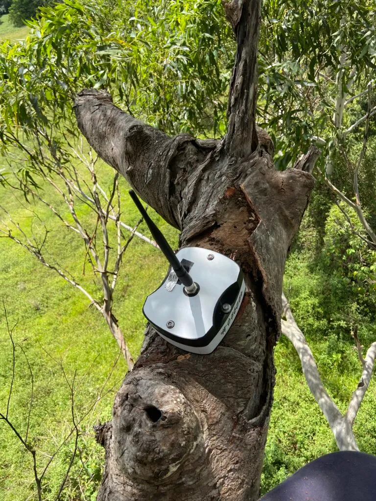 PIR device installed to a natural hollow.