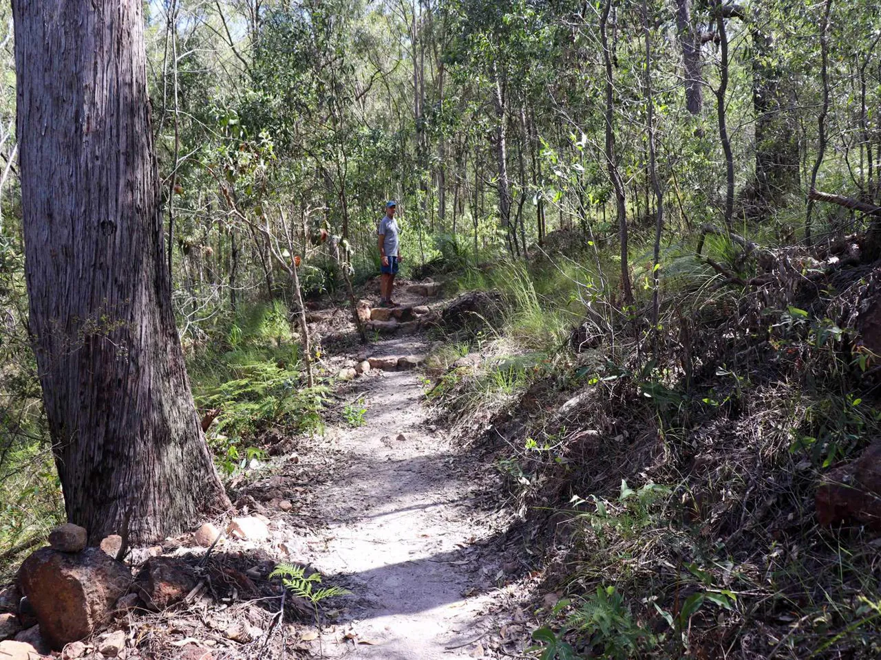 Yul-yan-man Track at Beerburrum