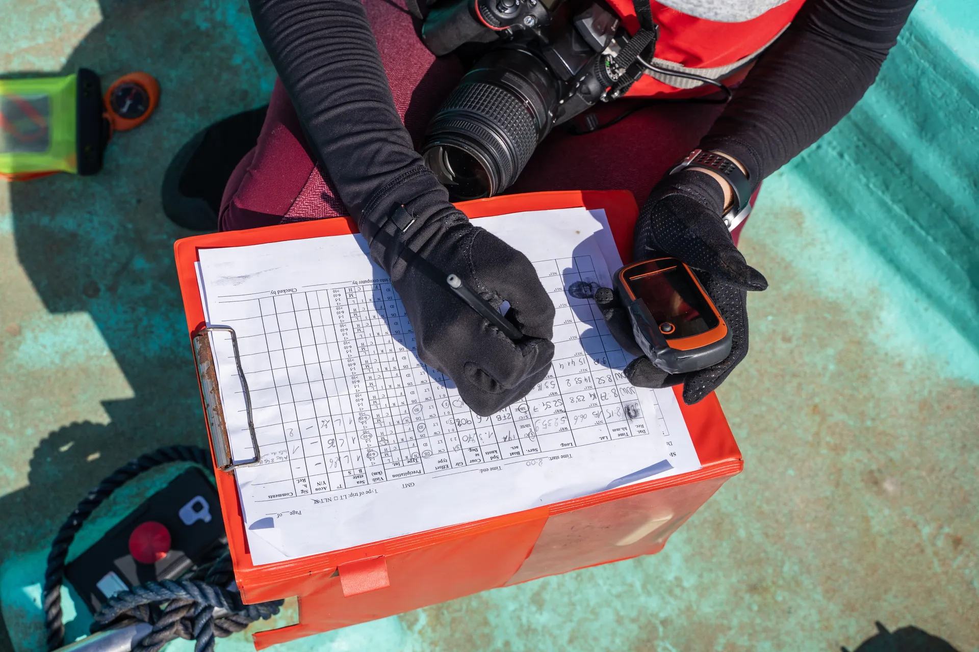 Diver recording data