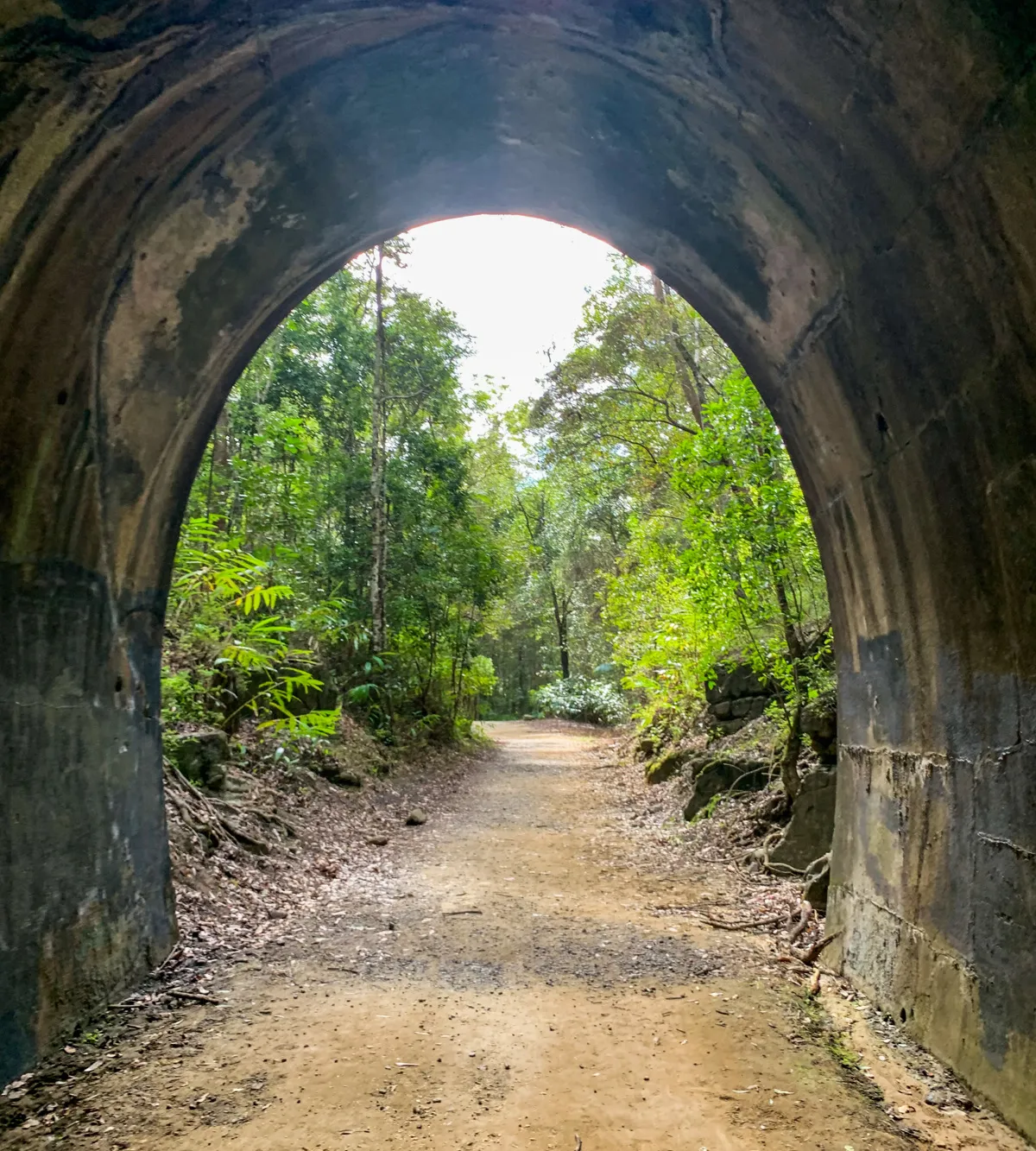 Adventure Sunshine Coast mountain-biking trail