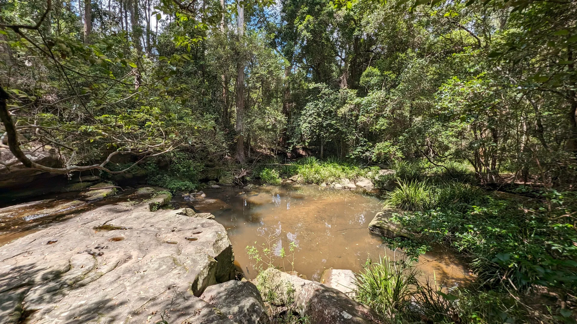 Little Rocky Creek: Axe grinding site 