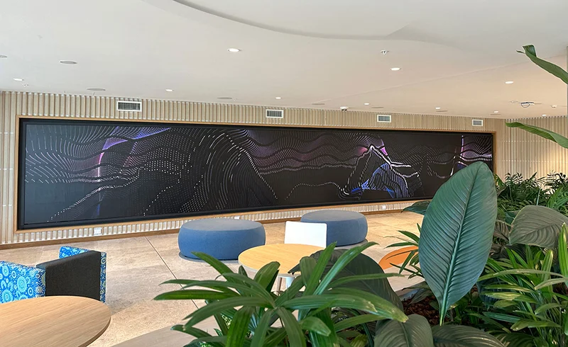 Shauna Hill & Möbius