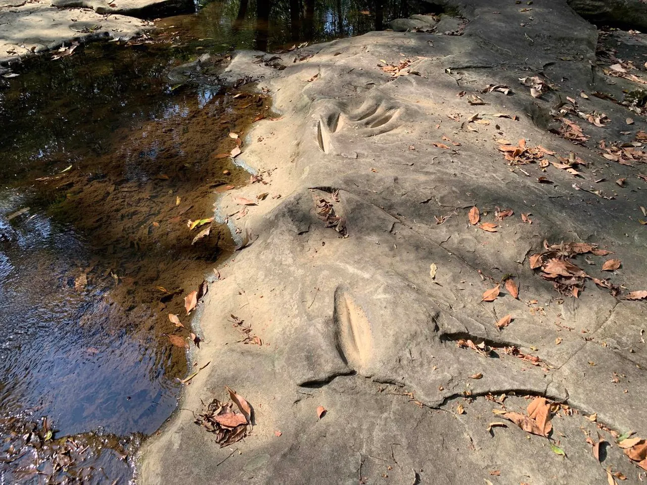 Little Rocky Creek - Axe grinding site