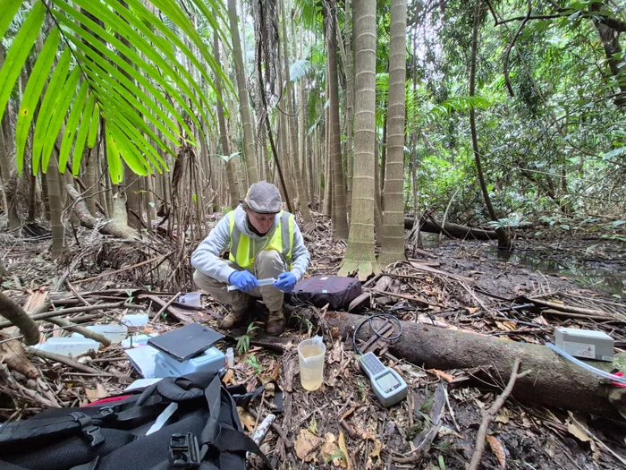 A researcher in a forest taking samples. 