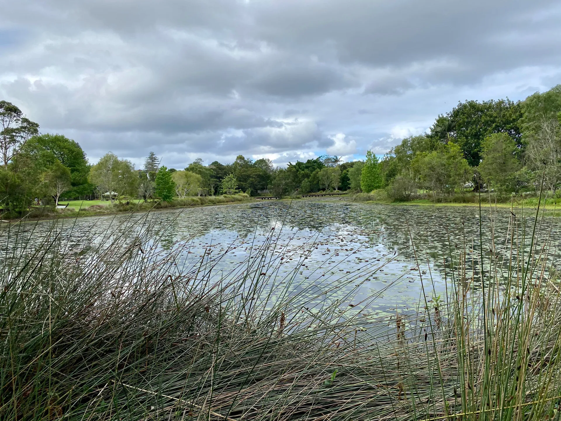 Mapleton Lilyponds and National Park Forest Loop