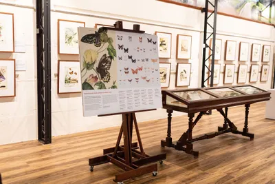 Scott Sisters exhibition