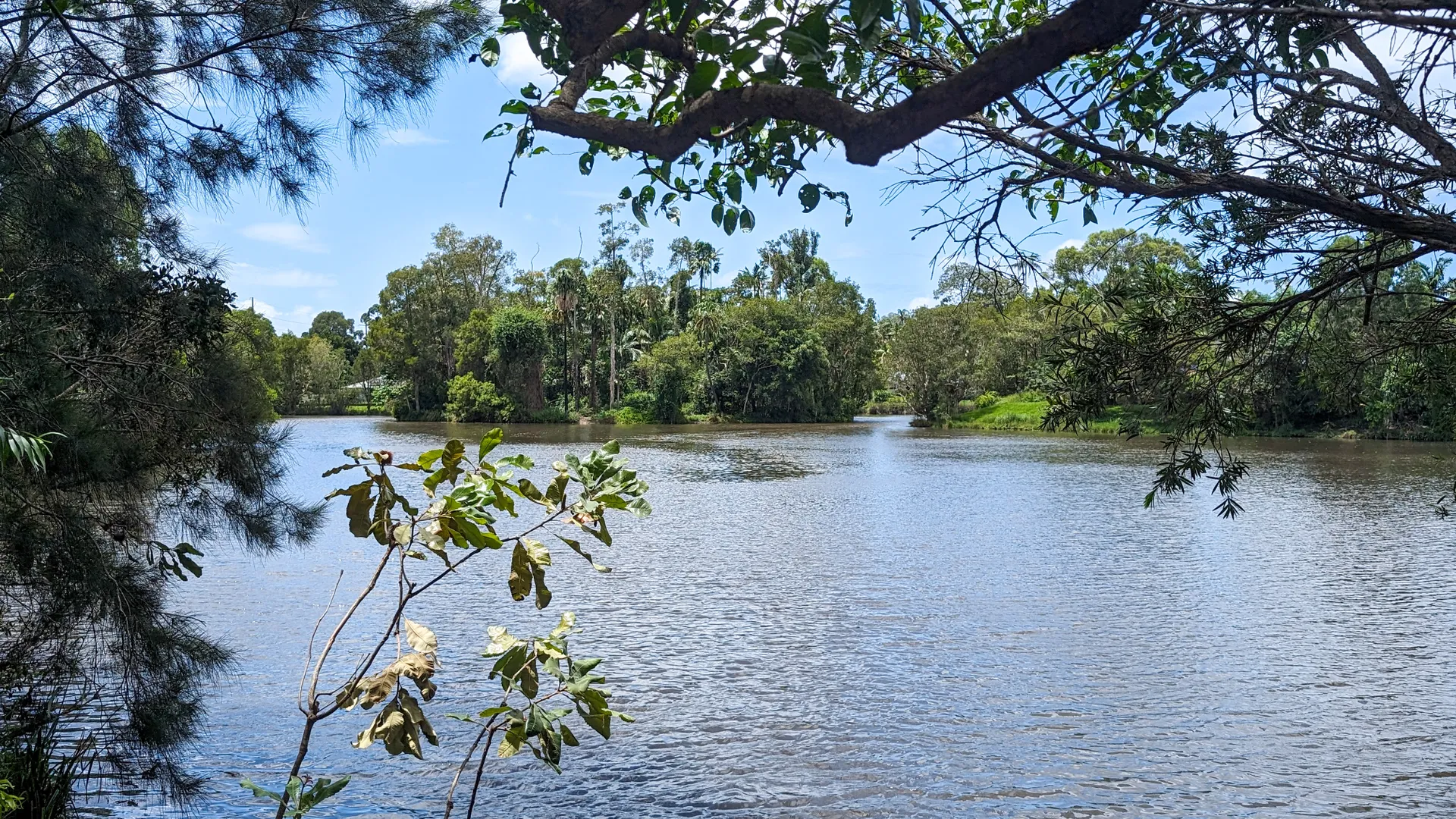 PSX_20240201_125906.jpg