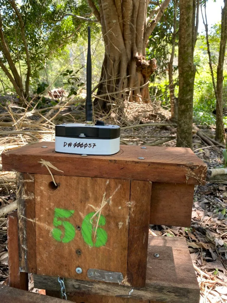 PIR device attached to the hardwood nestbox.