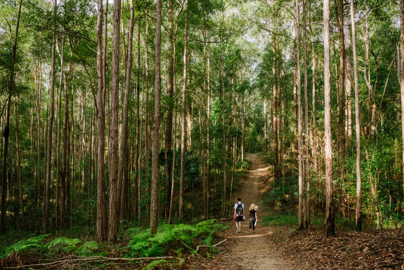 Access to the natural environment was a top priority for residents in 2023